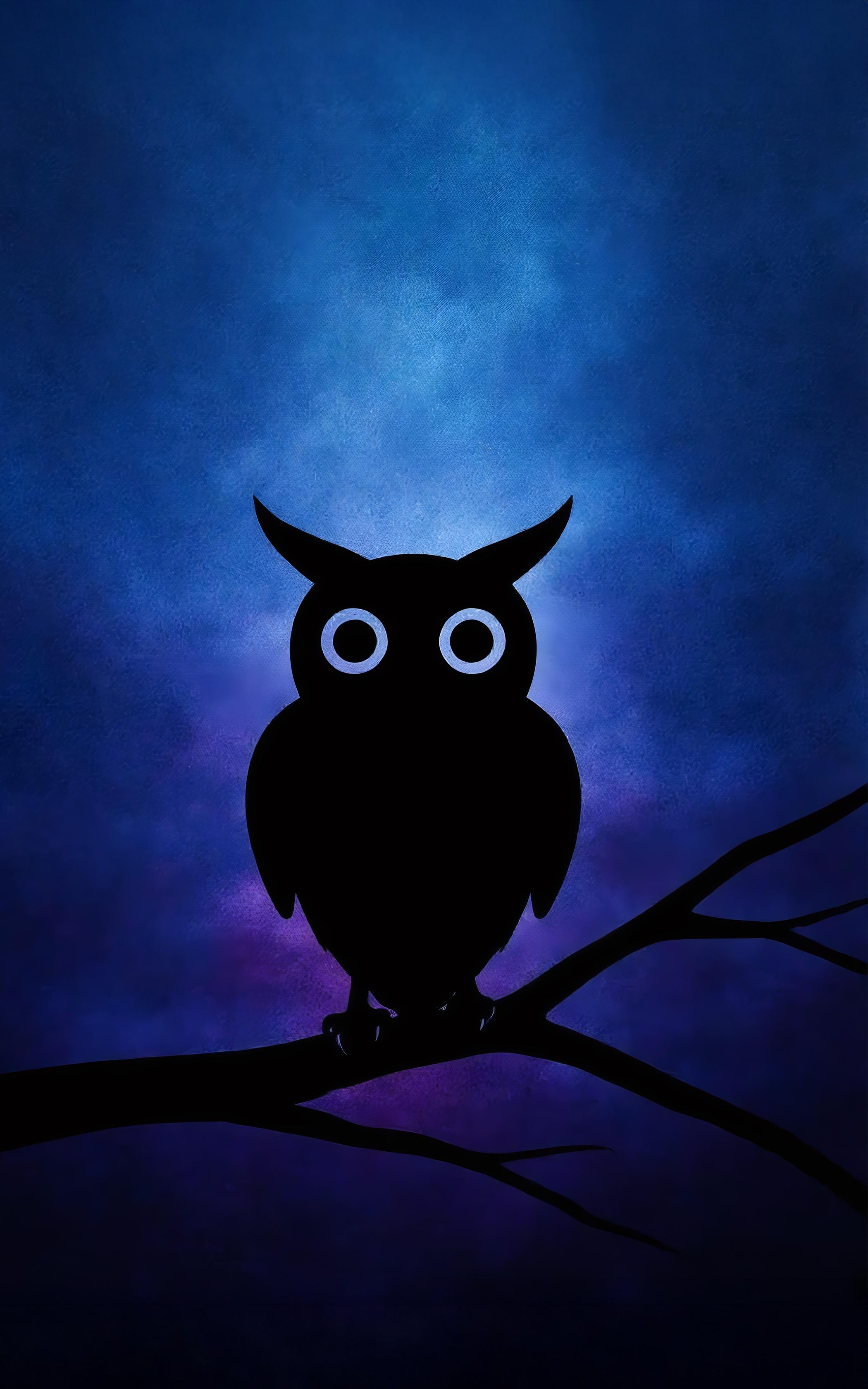 Sessiz Gece Gözcüsü