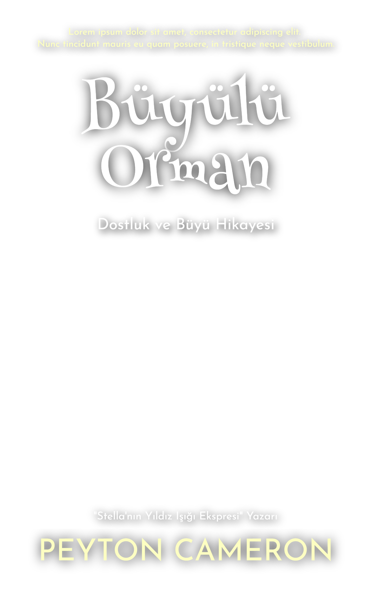 Şablon Katmanı